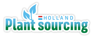 Holland Plant Sourcing