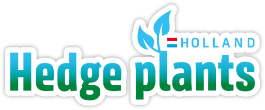hedge-plants-logo