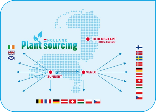 Holland Plant Sourcing